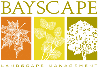 Bayscape Logo